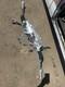 2022 Lr Range Rover Evoque L551 2.0 D200 Power Steering Rack M8d2-3200-bf