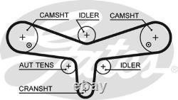 Courroie de distribution Gates 5624xs