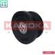 Poulie De Vilebrequin &agrave; Courroie Rw014 Pour Land Rover Range/iii/suv/mk Opel Bmw 2,9 L 6 Cylindres